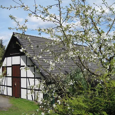 Cosy In Menkhausen Near The Area