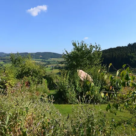 Cosy In Menkhausen Near The Area Holiday home Schmallenberg