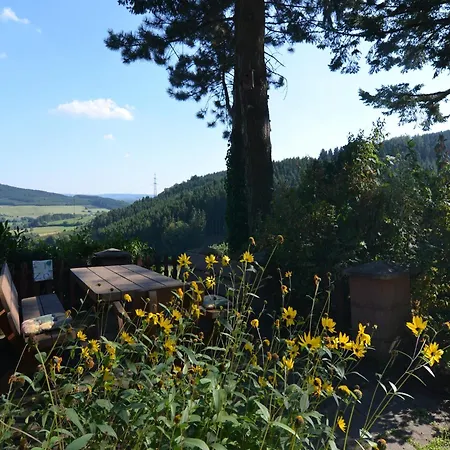 Holiday home Cosy In Menkhausen Near The Area Schmallenberg