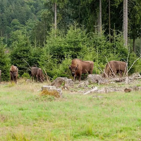 In Menkhausen Near Slopes *