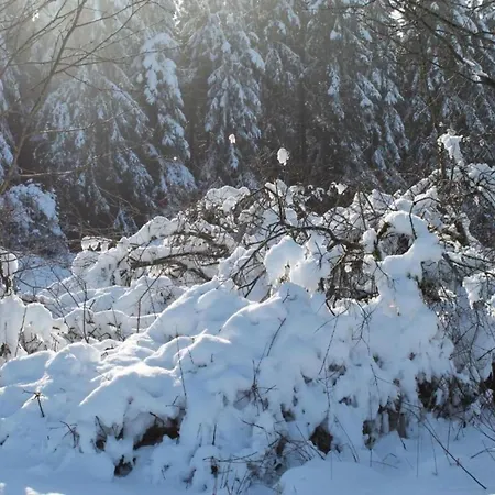In Menkhausen Near Slopes Daire *