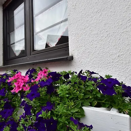 Holiday home Cosy In Menkhausen Near The Area Schmallenberg